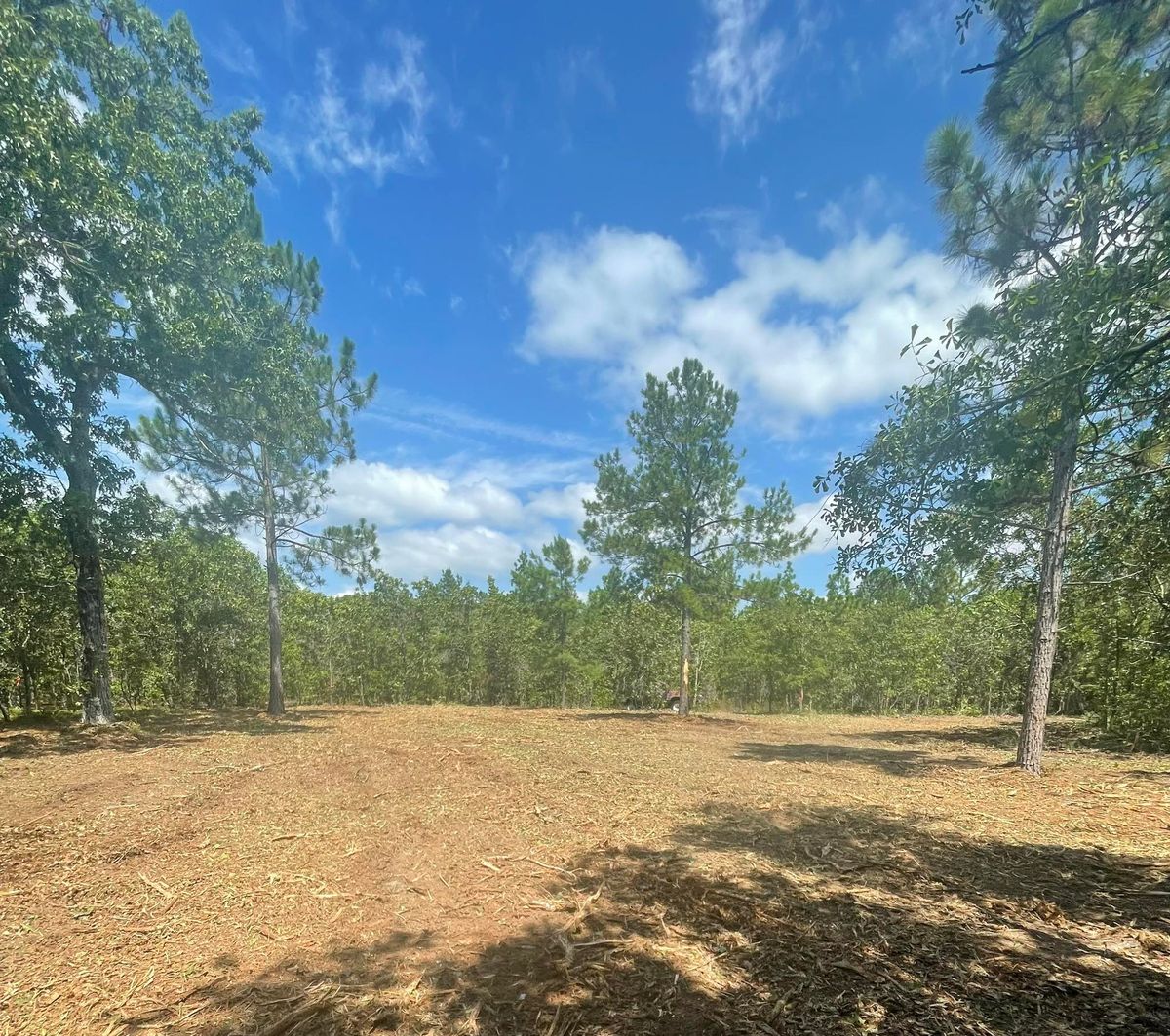 Site Preparation for JA Clearing LLC in Pageland, SC