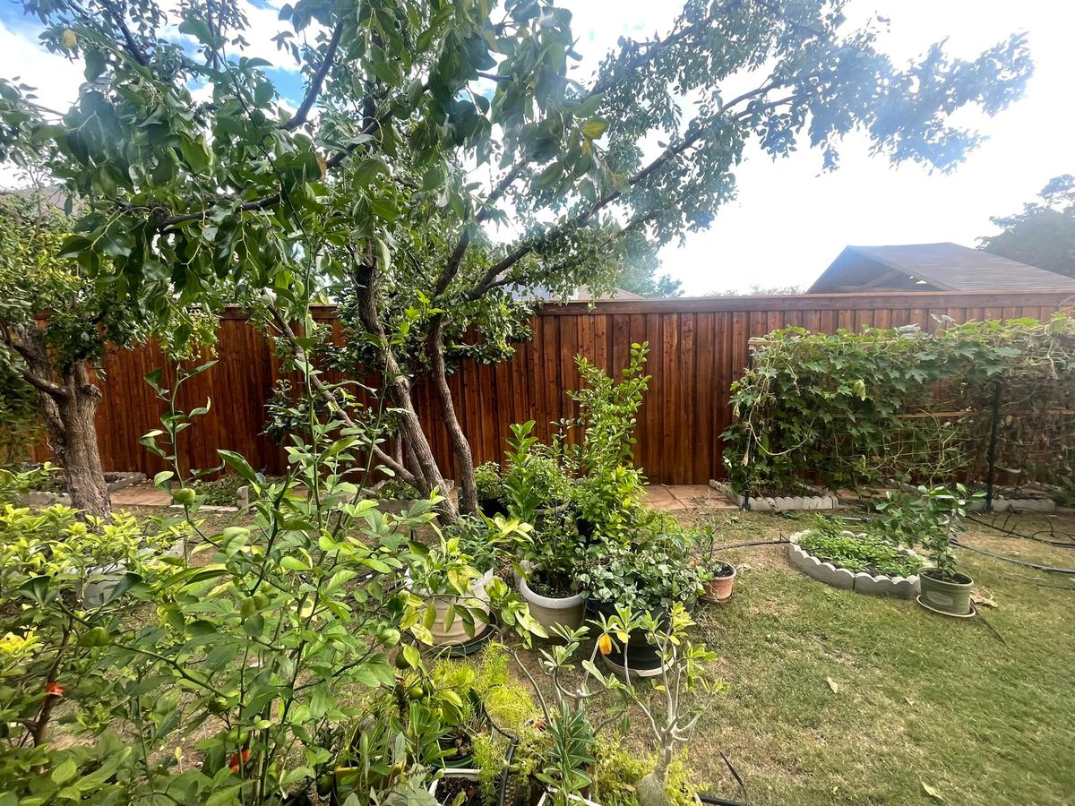 Tree Services for Perfect Fencing in Fort Worth, TX