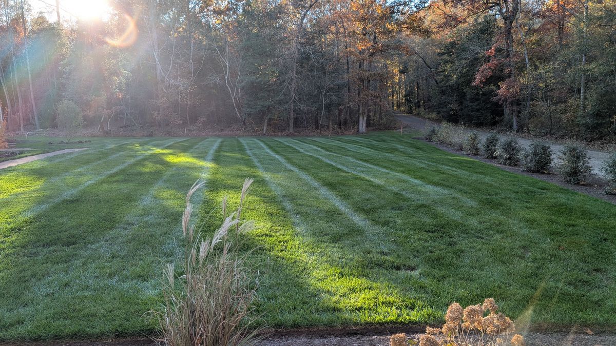 Weed Control for E-Z Care Lawn Service in Prince George, VA