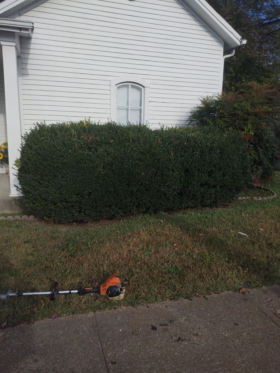 Shrub Trimming for Mark's Lawn Care in Mount Pleasant, TN