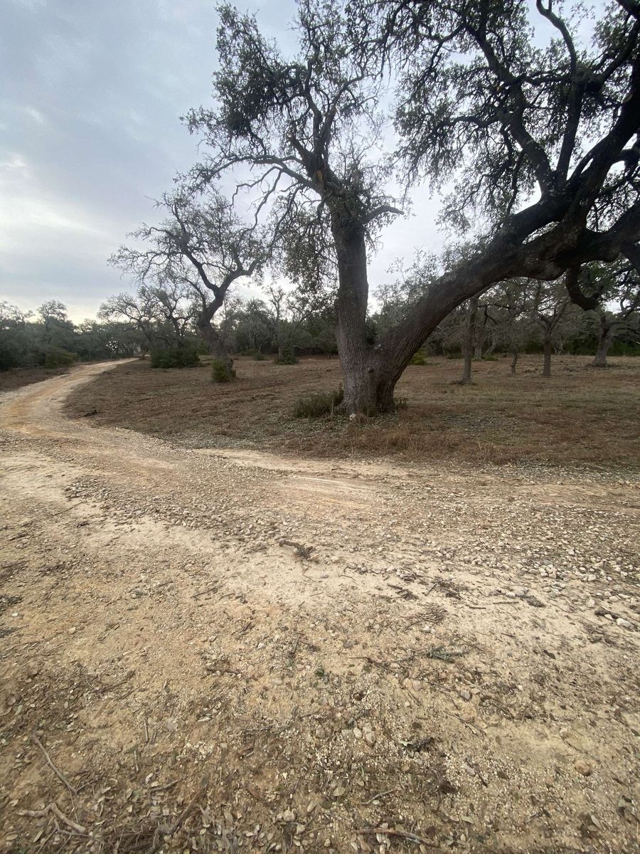 Forestry Mulching for K.O. Excavation LLC in Spring Branch, TX