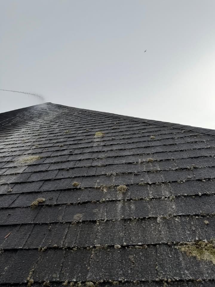 Roof Cleaning for JB Applewhite's Pressure Washing in Anderson, SC
