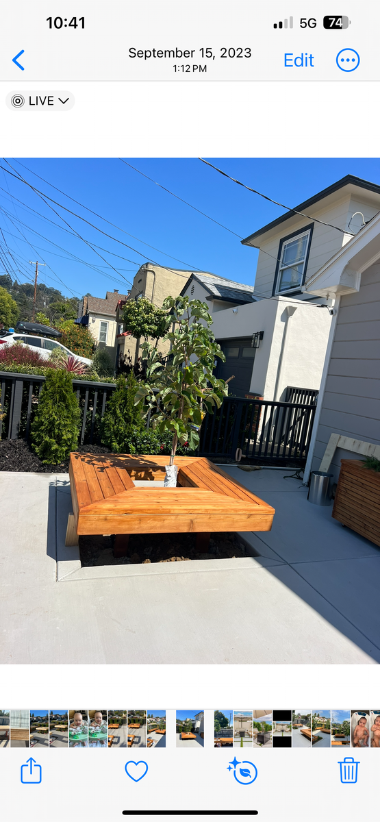 Concrete for Digging Dudes in Hayward, CA