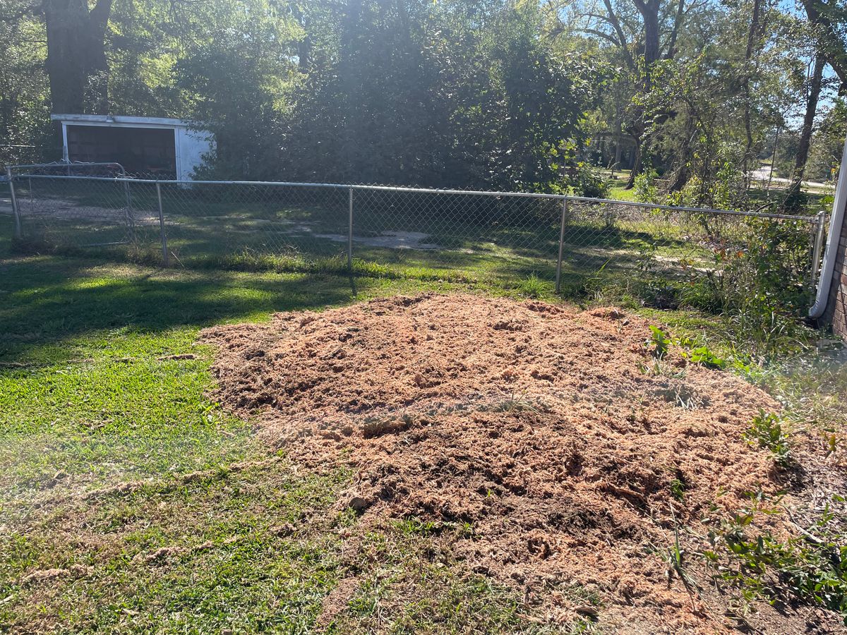 Tree Removal for MJB’s Stump Grinding LLC in Tennille, GA