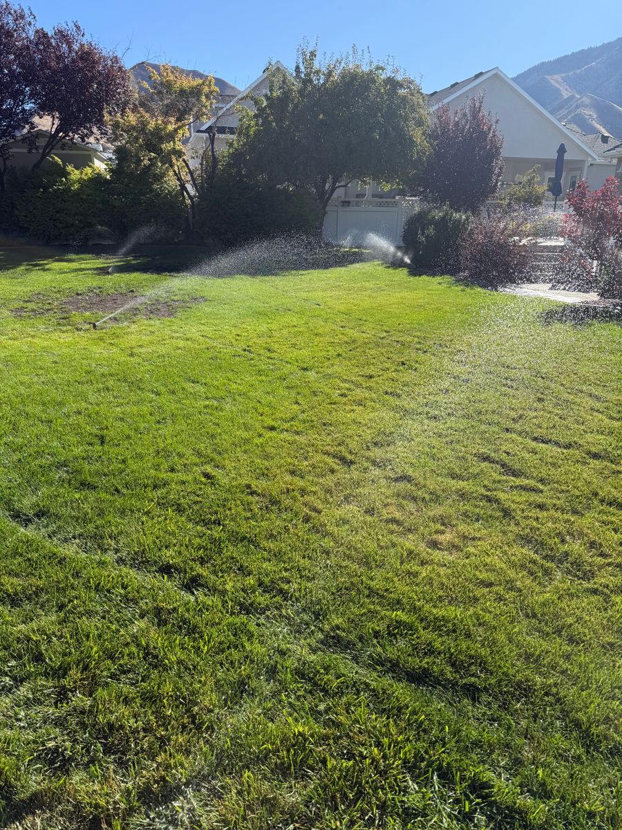 Weed Control for Platinum Lawn Service in Santaquin, UT