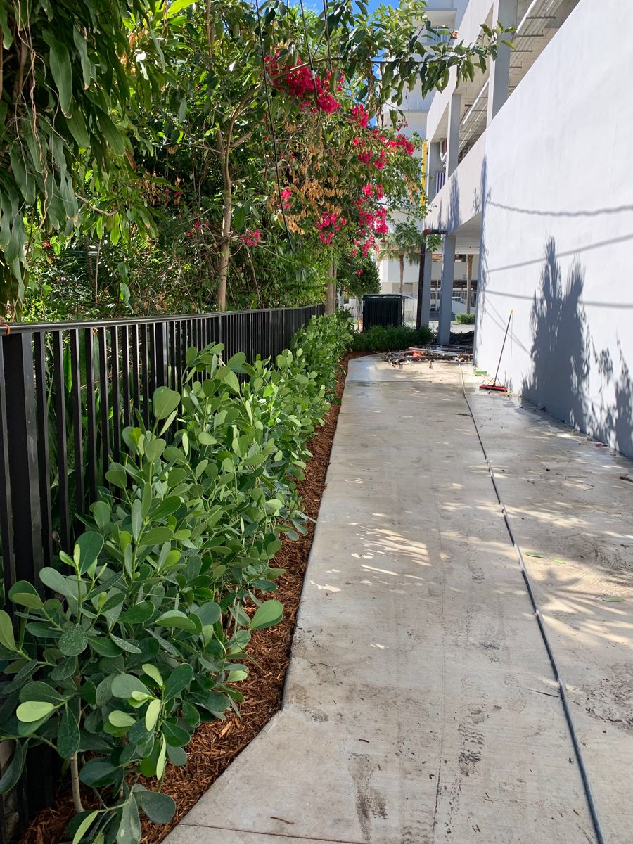 Landscape Installation for Florida Roots in Miami, FL