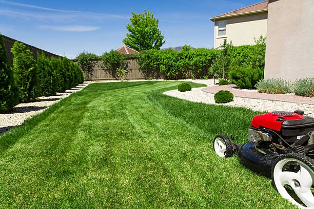 Lawn Care for Rodge Dawg Services and Property Management  in Port Huron, MI