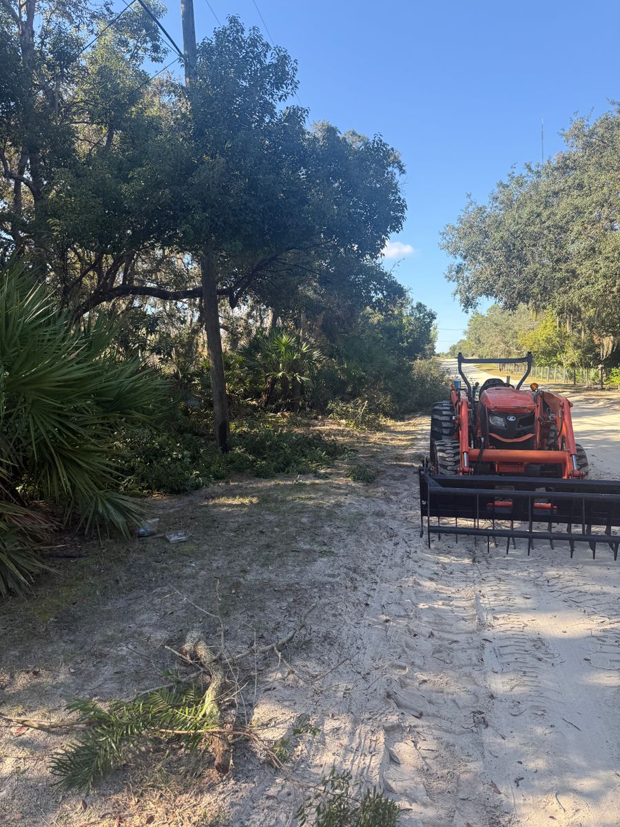 Tree Removal for Amerigrown Tree And Lawn in Apopka, FL