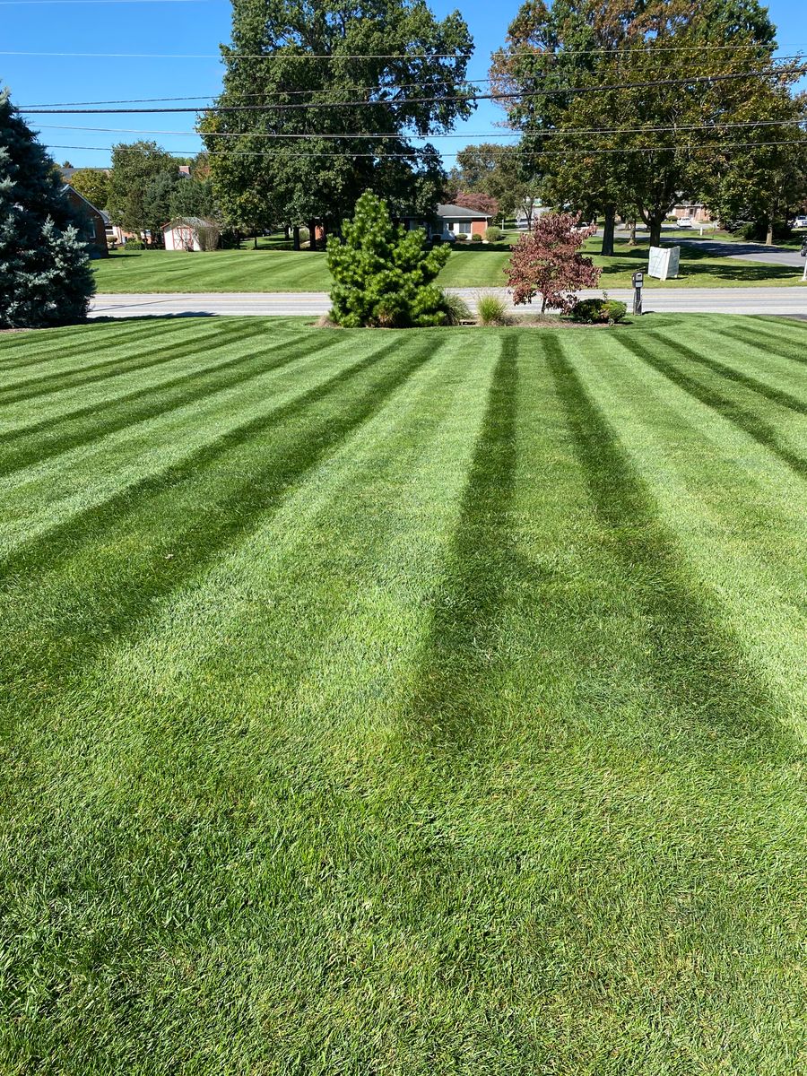 Sod Install for Backyard Acres Lawncare LLC in Chambersburg, PA