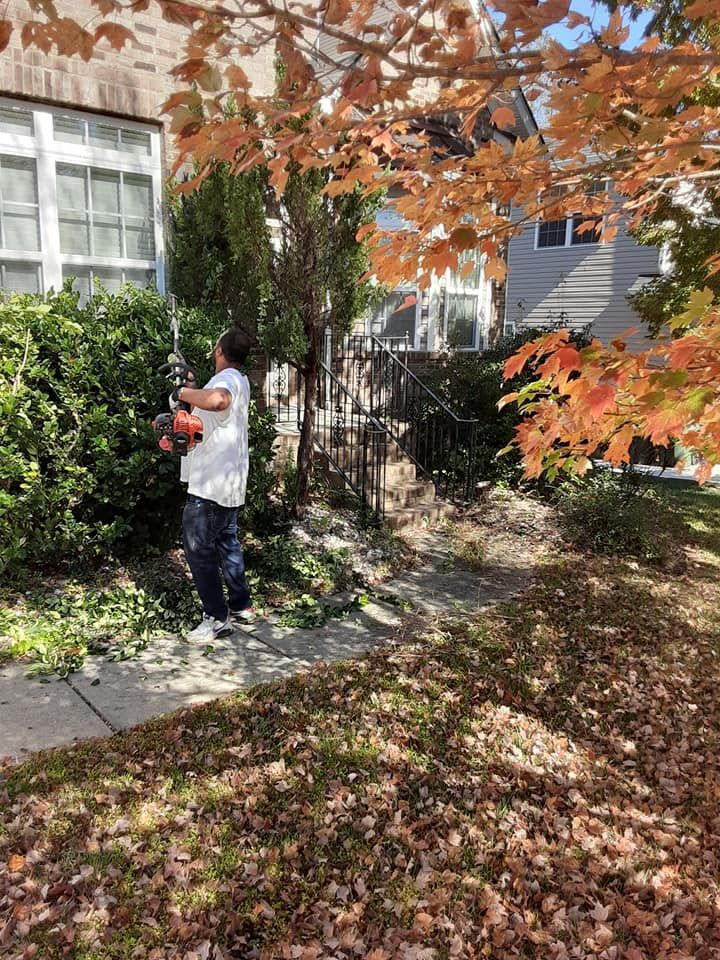 Fall Clean Up for Oakhurst Landscaping and Tree Service in Charlotte, NC