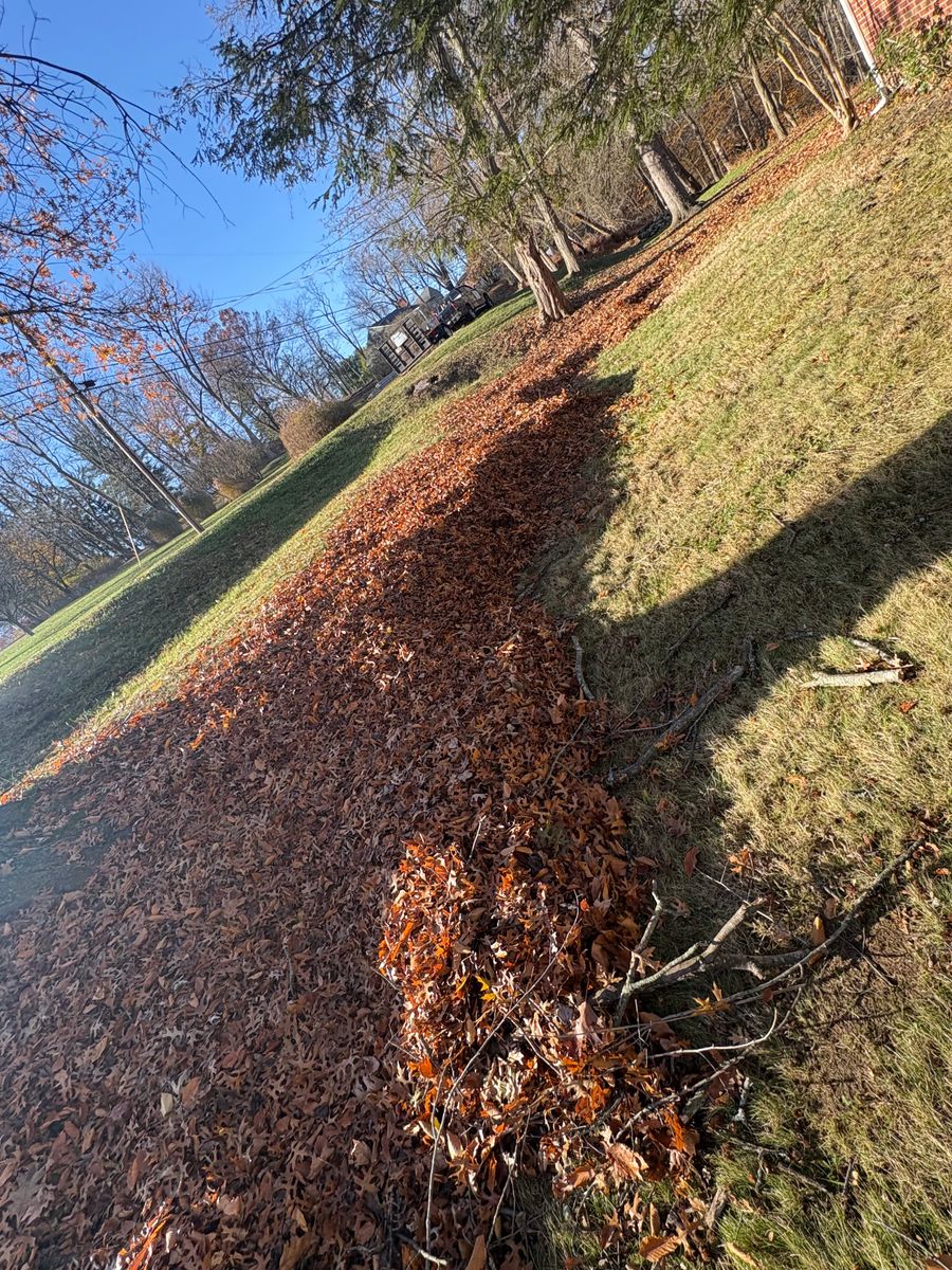 Spring & Fall Clean Up for Cam Yardz in Washington, PA