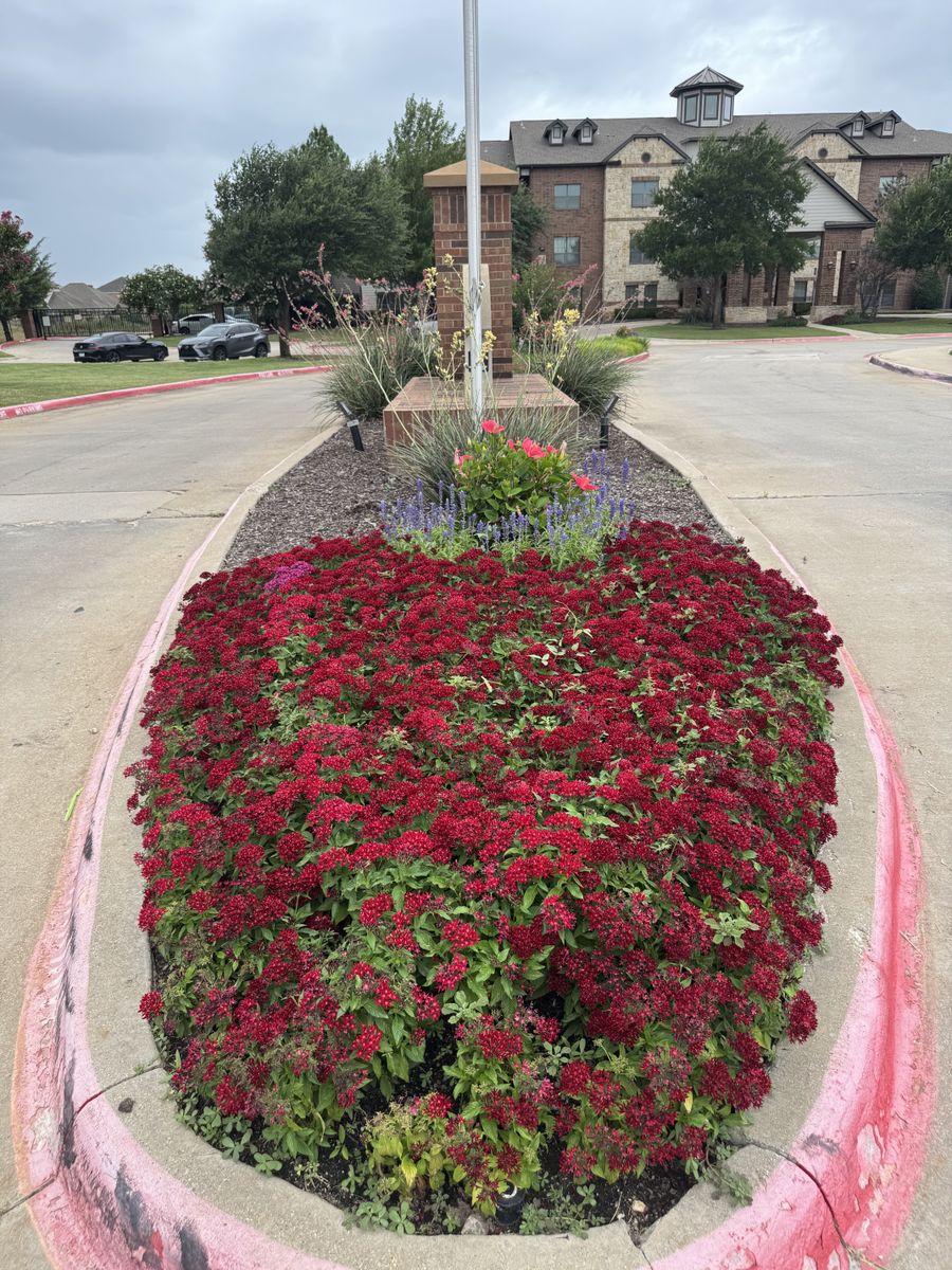 Seasonal color changes for Guerrero's Landscape in Fort Worth,  TX