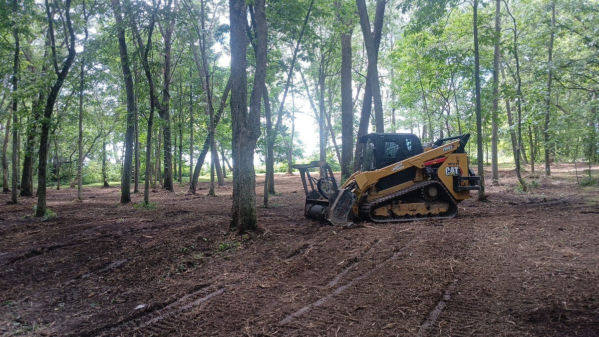 Land Clearing for Willing Trucking & Excavating in Evansville, WI