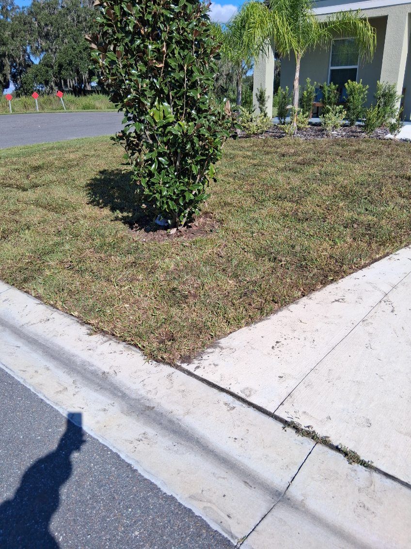 Landscape Design for Gulf Bay Sod in Clearwater, FL