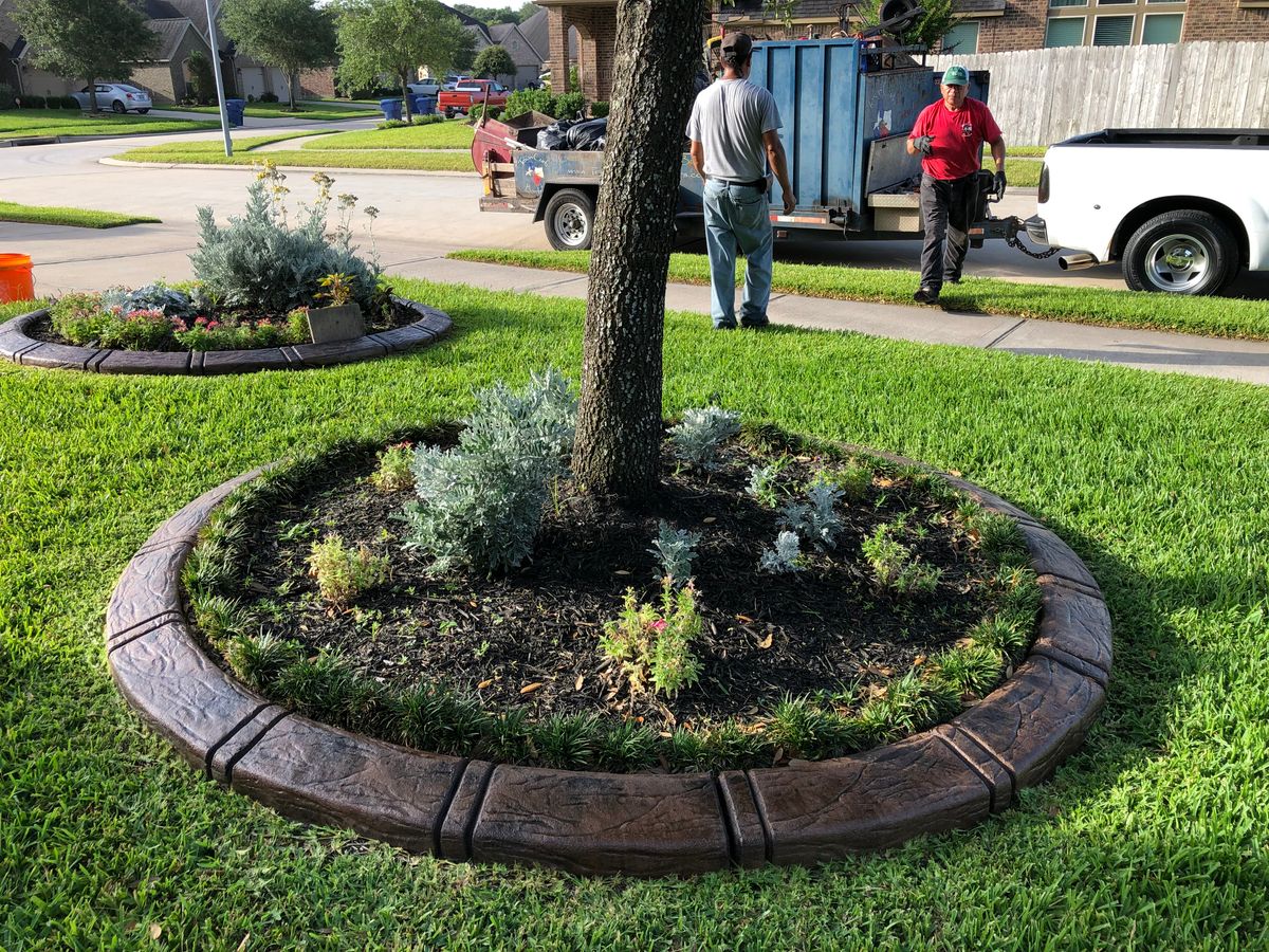 Landscaping for Texas Curb N Borders in Houston, TX