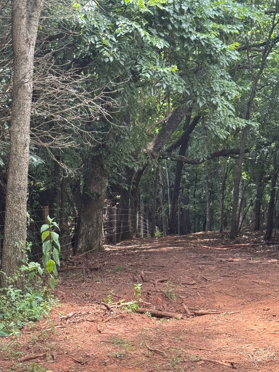 Land Clearing for Miller Farms Hay & Land Management in Knoxville, TN