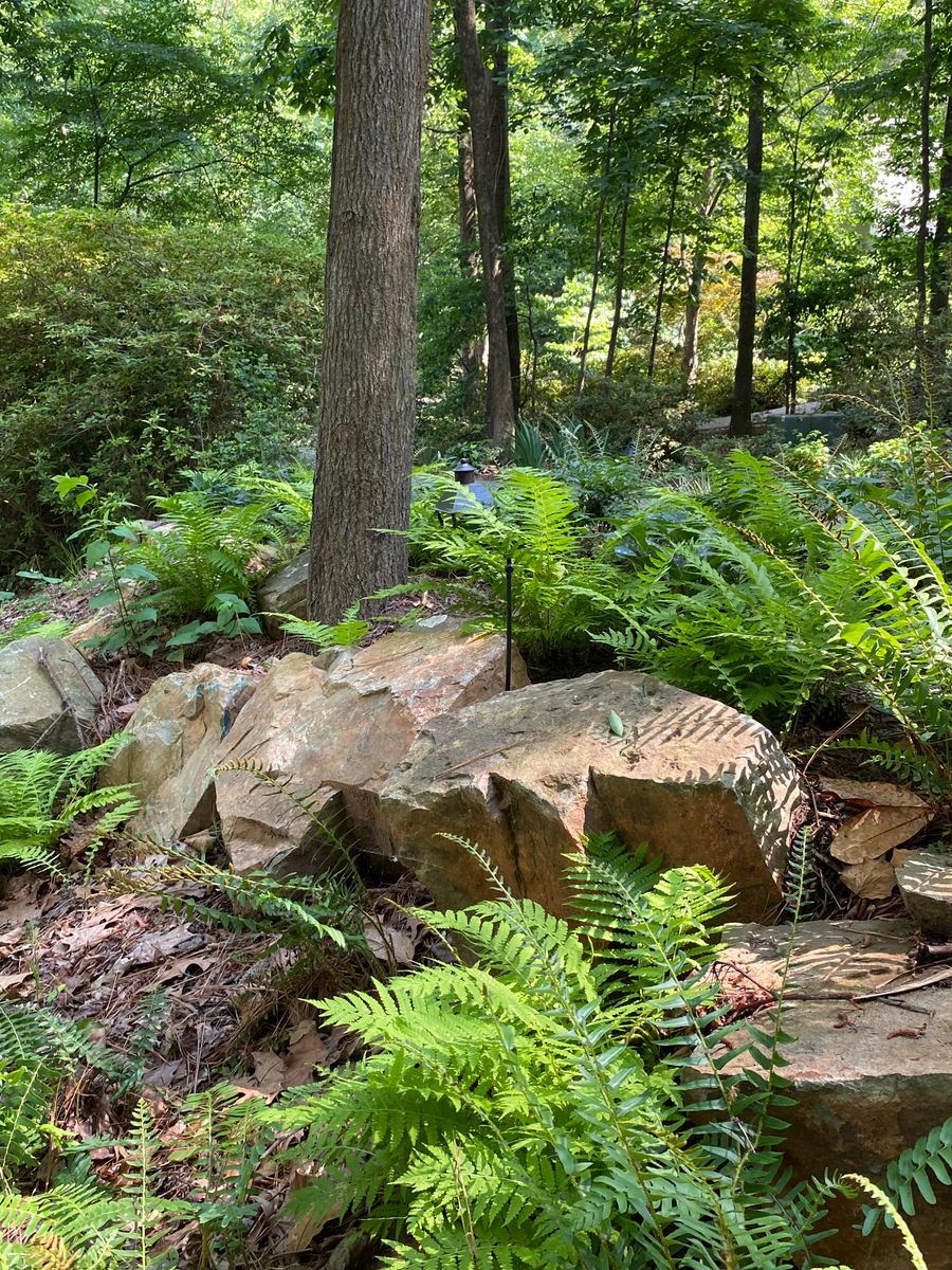 Landscape Design / Installations for Christina King Landscape Design in West Raleigh, NC