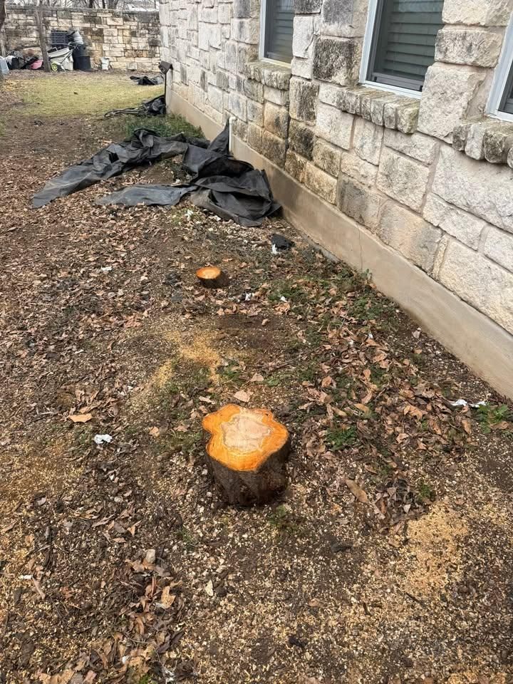 Tree Removal for Oakley’s Stump ‘N Grind in Leander, TX