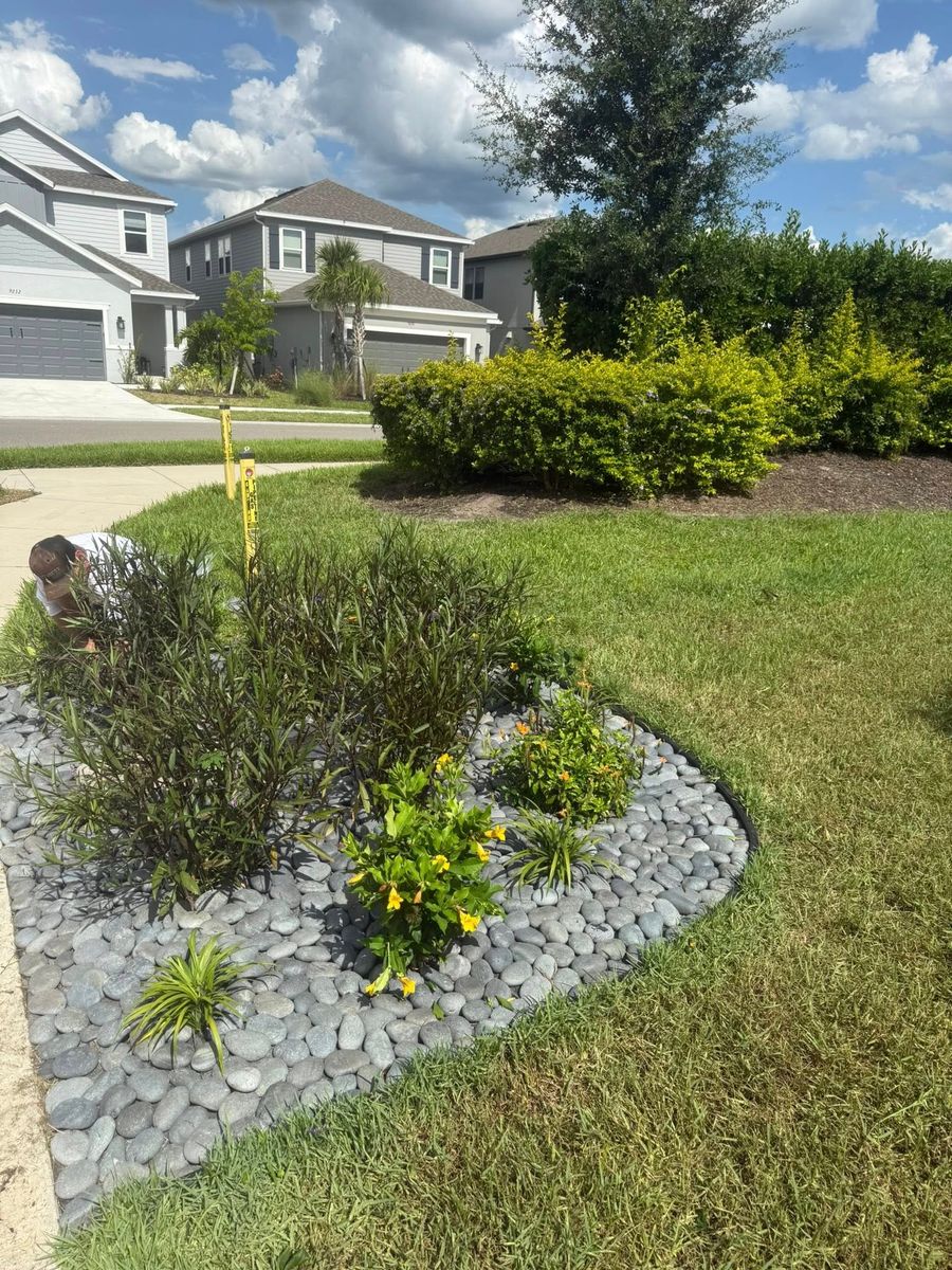 Palm Pruning for Damian’s Tree Care in Sarasota, FL