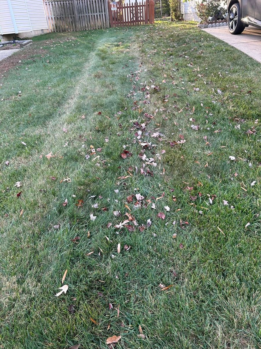 Other Services for Morris Contracting in Leonardtown, MD