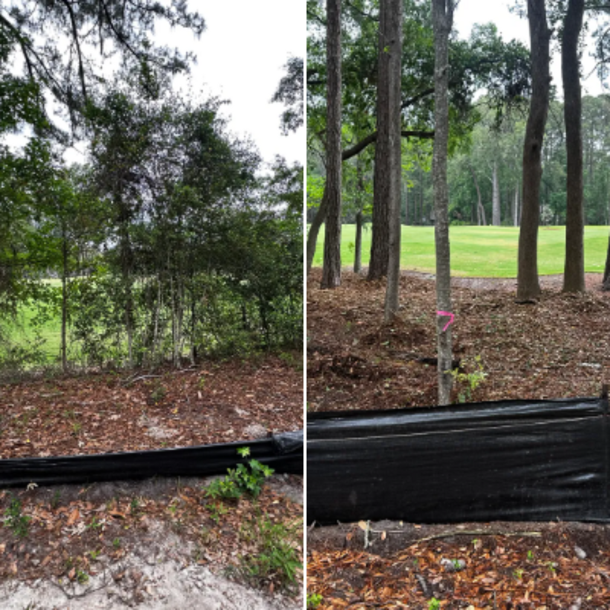 Underbrushing for Iron Industries in Bluffton, SC