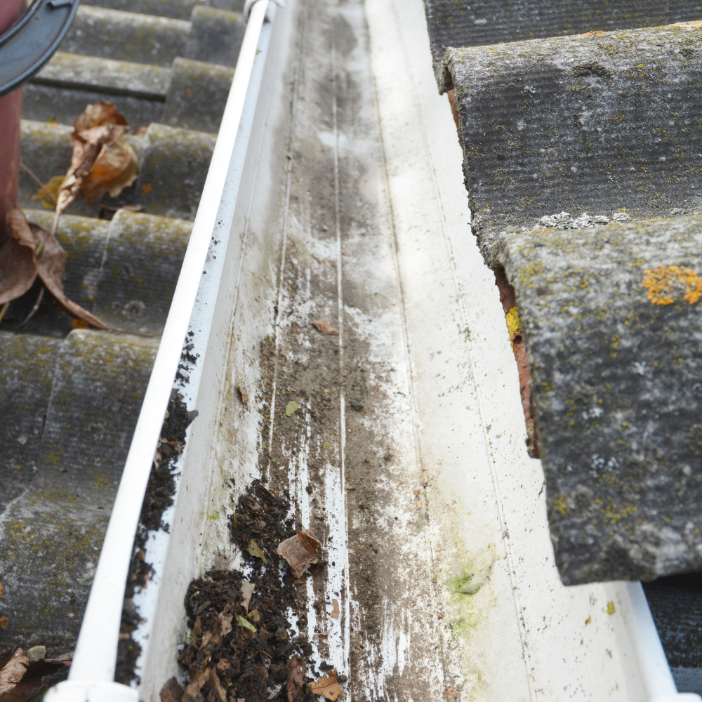 Gutter Flush & Cleaning for radPAD - Home Service Pros in Carlsbad, CA