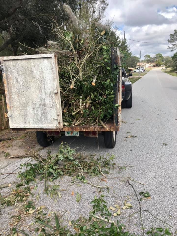 Fall Clean Up for Perfect MOs Landscaping in Hudson, FL