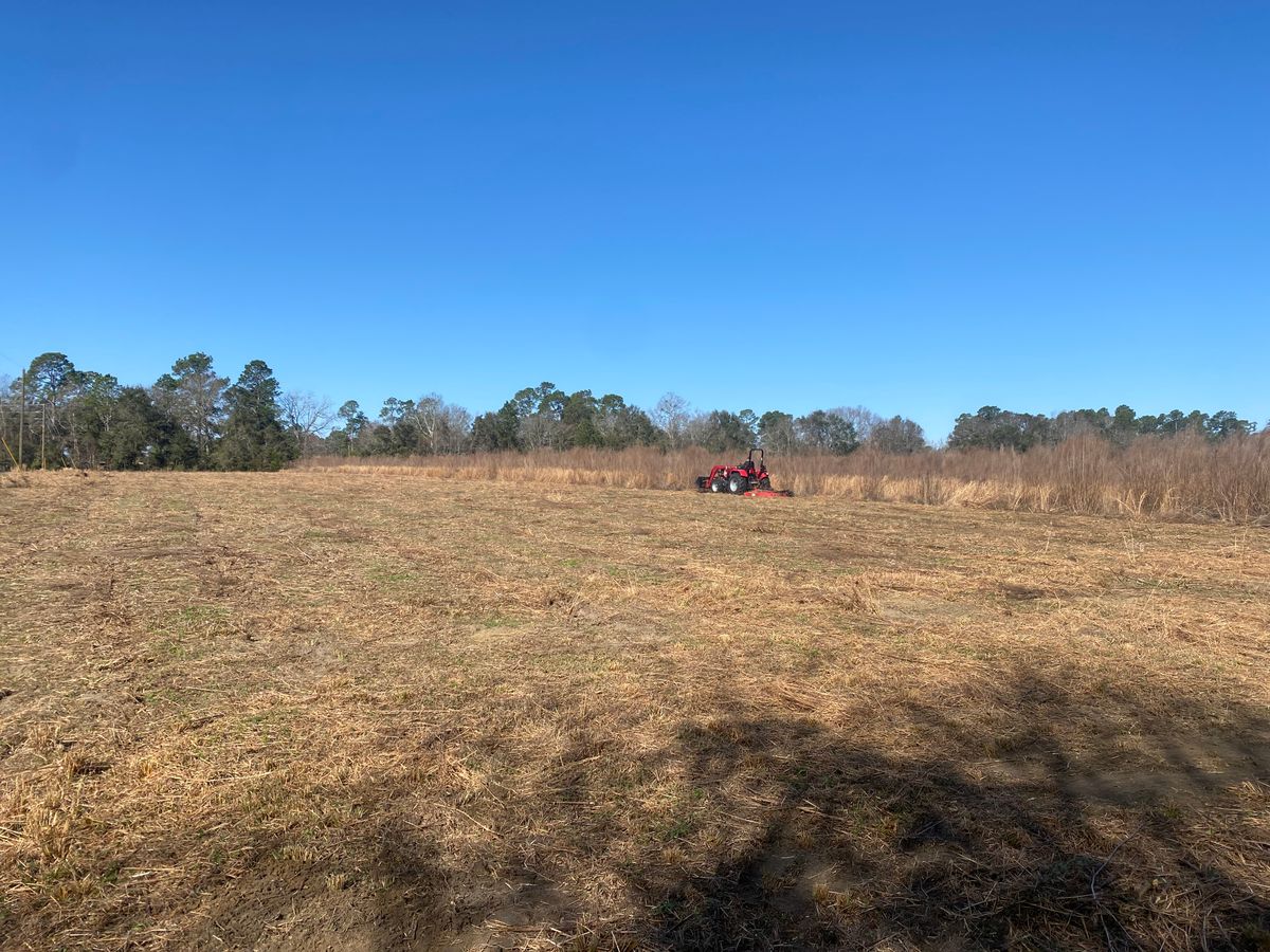 Bush Hogging for T&S Land Management Services in Effingham County, GA