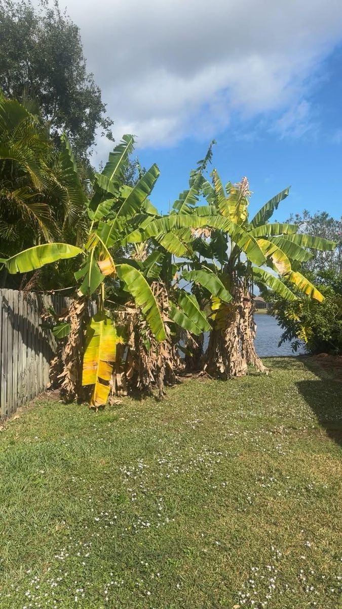 Lawn and Garden Care for Space Coast Property Maintenance and Management LLC in Brevard County, FL