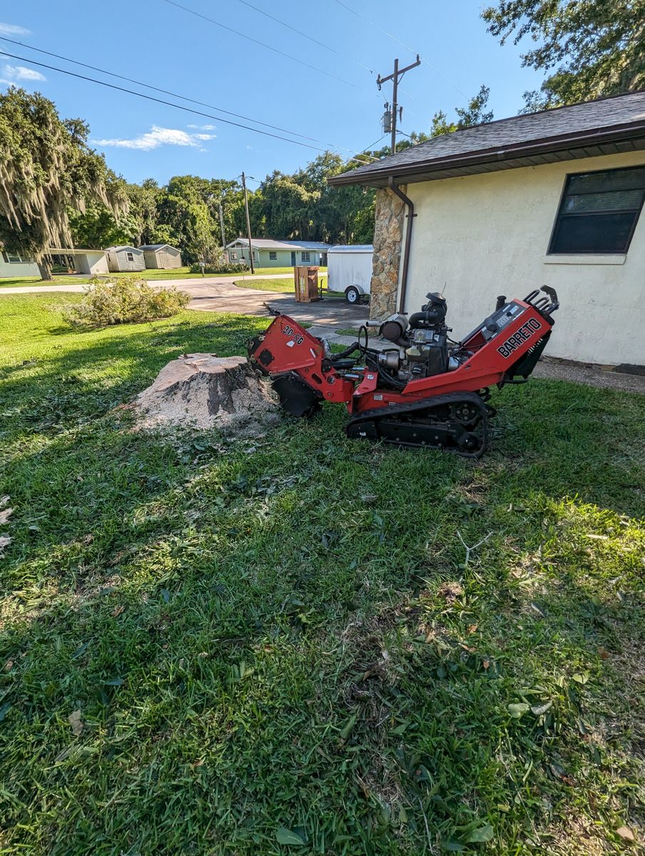 Stump Removal for Regal Tree Service and Stump Grinding in Wauchula, FL