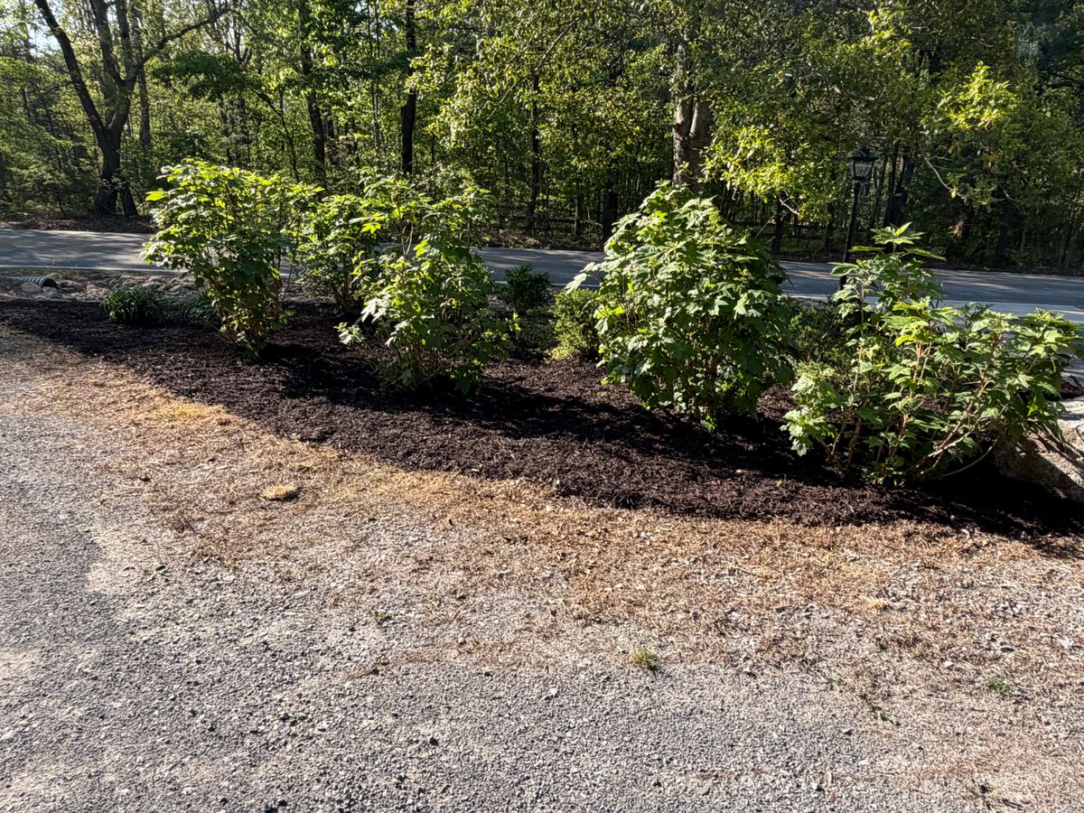 Tree & Shrub Care for Starnes Hardscapes & Property Management LLC in Dunlap, TN