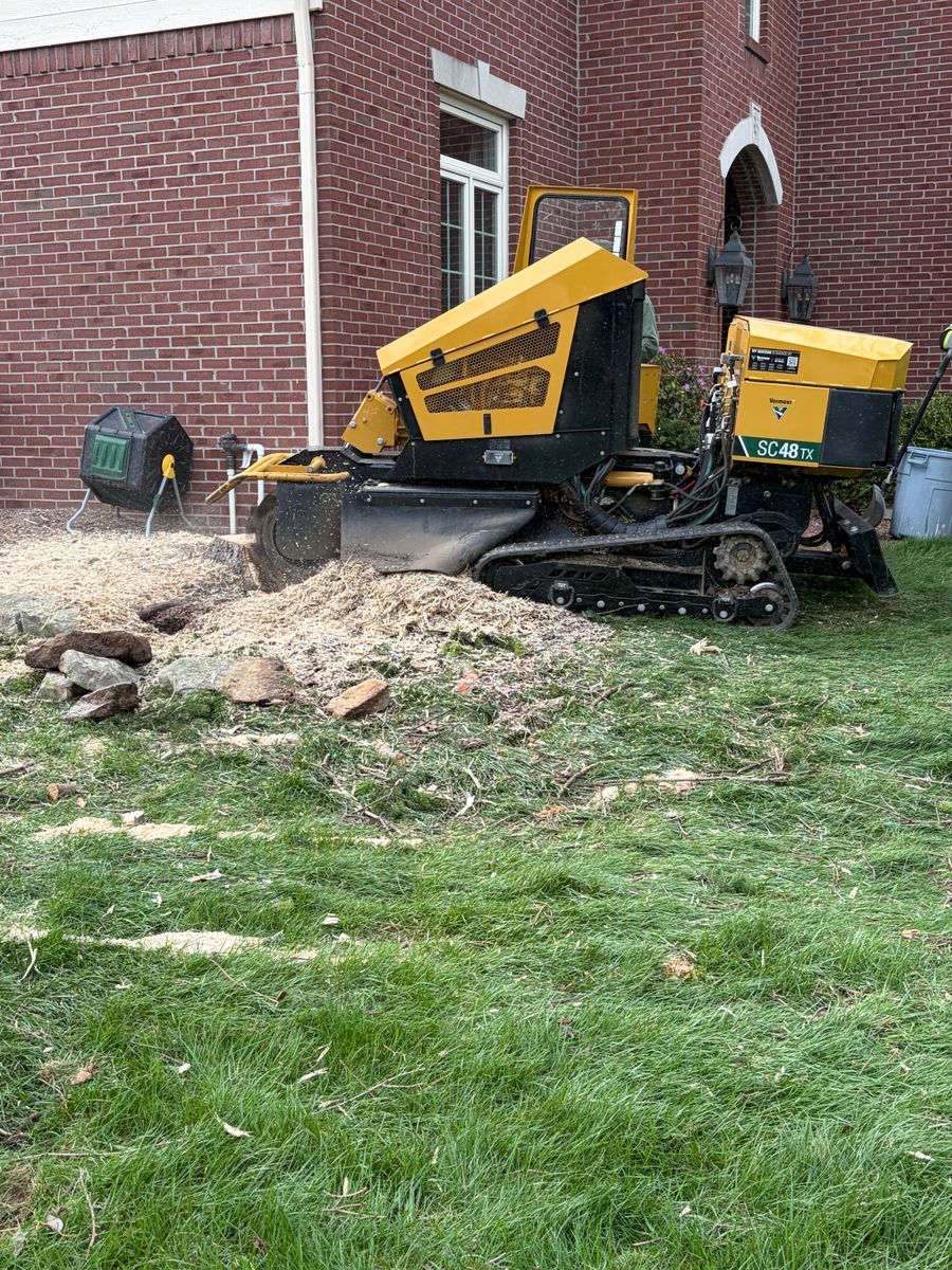 Stump Removal for Village Tree Service  in Whitestown, IN