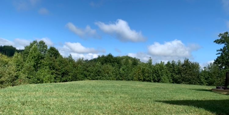 Mowing for CRC Affordable Quality Lawn Care LLC in Clintwood, VA