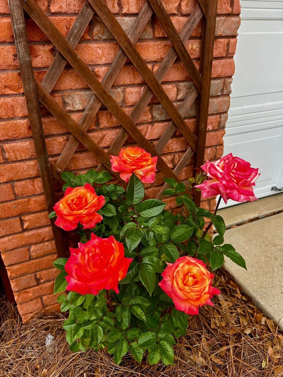 Garden Maintenance for Old Florida Lawncare in Baker, FL