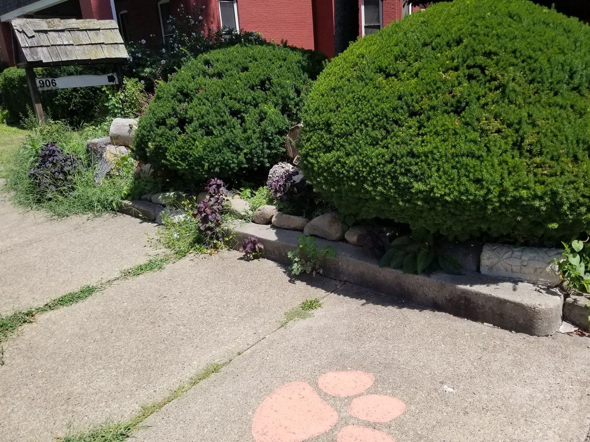 Shrub Trimming for All Blades Lawn Service in Pittsburgh, PA