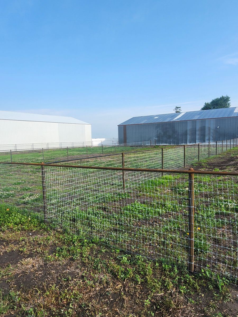 Fence Installation for HWY 2&65 Fabrication & Fencing in Humeston, IA