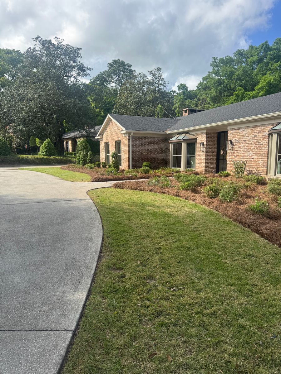 Hedge Trimming for Johnson Lawn Care and Maintenance in Mobile, AL