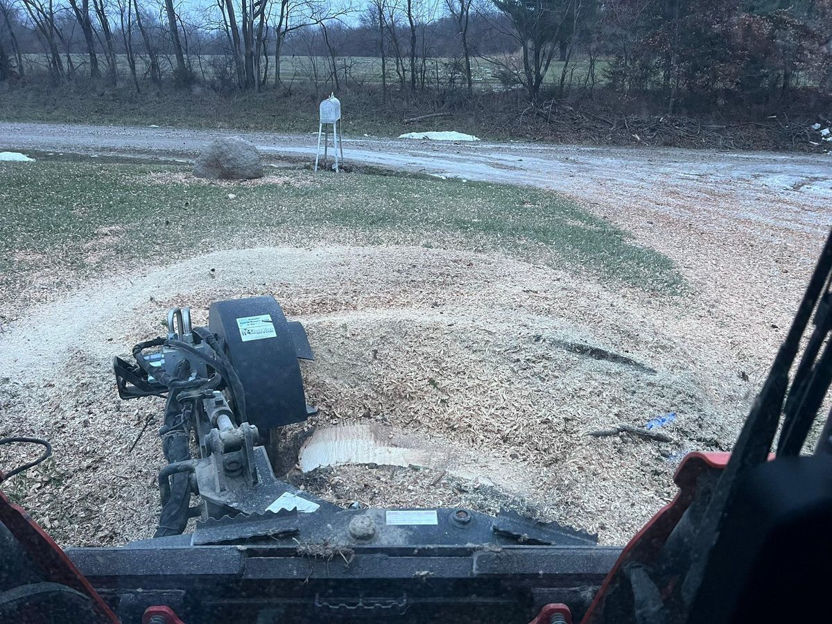 Stump Grinding for Baker Professional Services LLC in Shelbina, MO