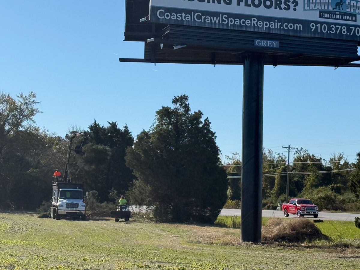 Hedge Trimming for A&A Property Maintenance in Jacksonville, NC
