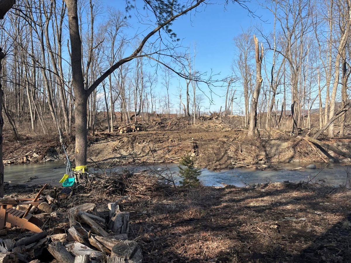 Site Work for Brax Forestry in Endicott, NY