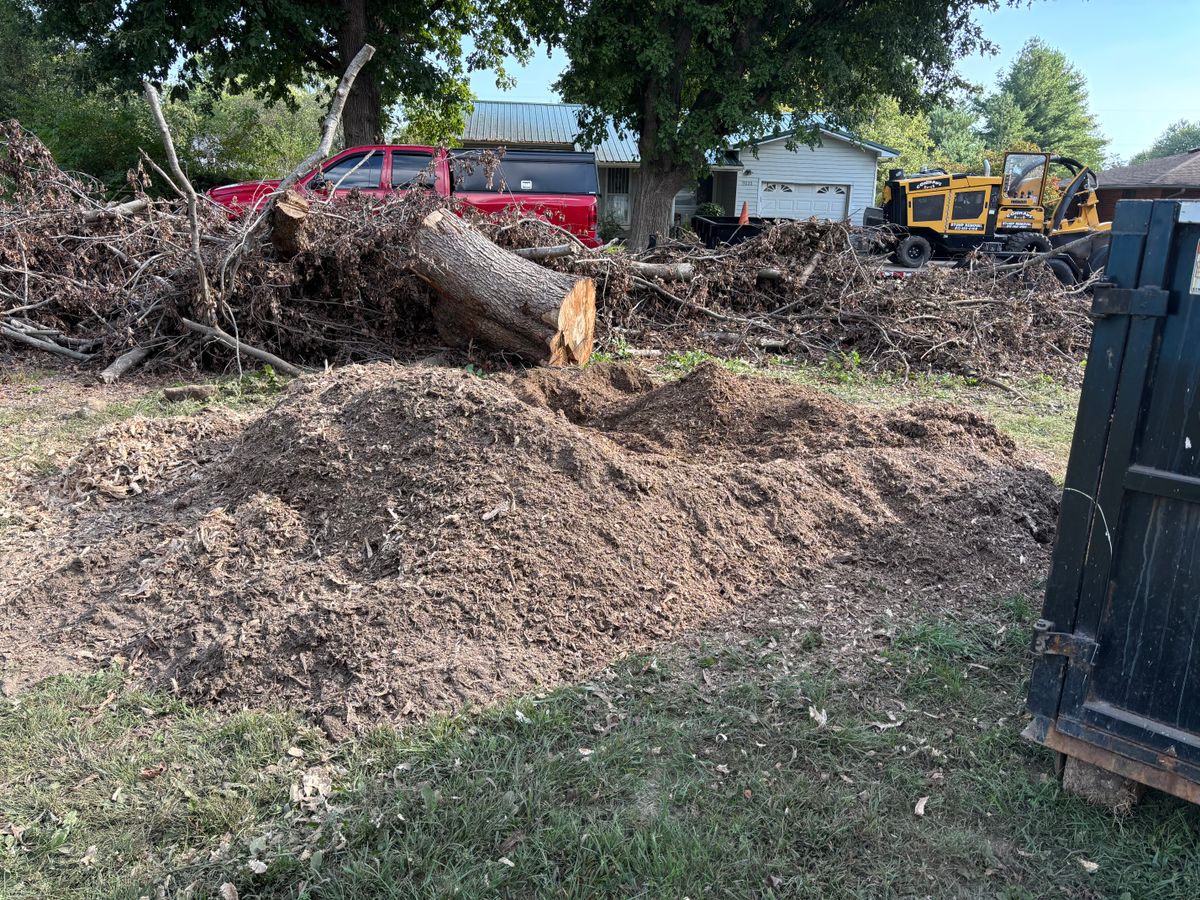 Stump Removal for Conrad's Stump Removal in Columbus, IN