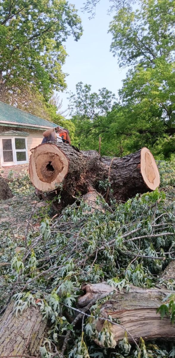 Tree Trimming for Lawn Ranger Yard And Tree Service LLC in Ottumwa, IA