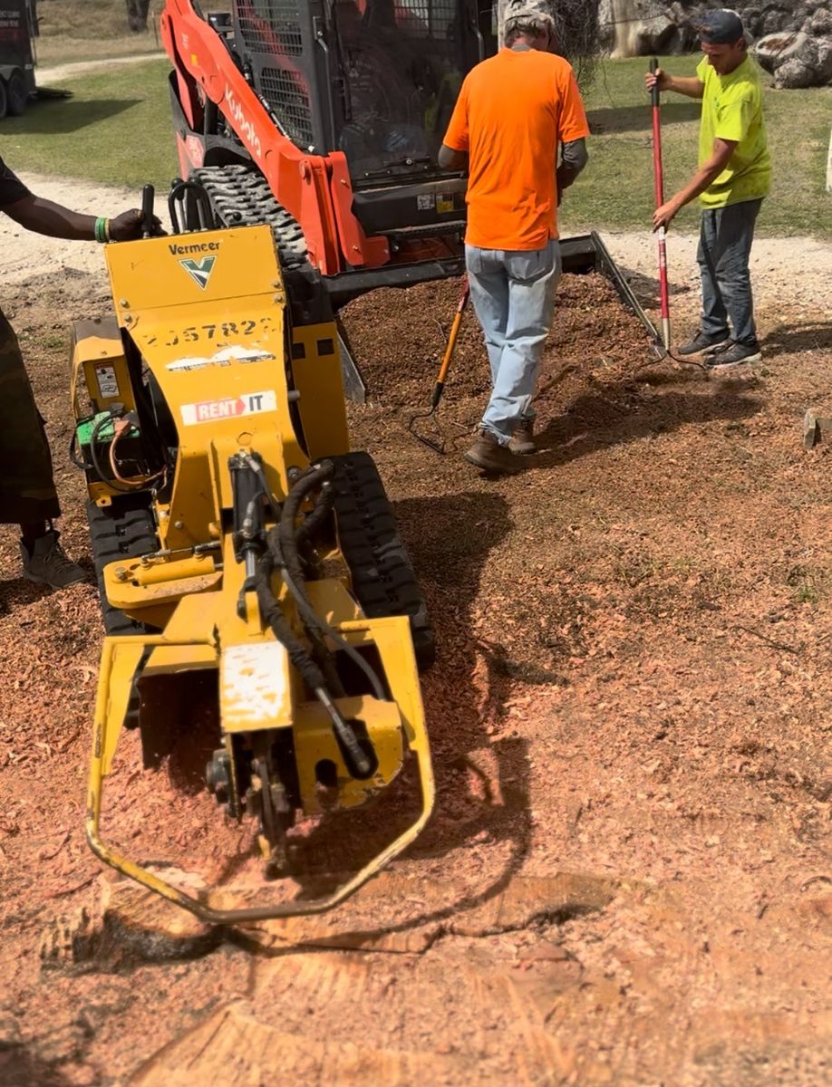 Stump Removal for Superior Lawn and Tree LLC in Clifton, TX