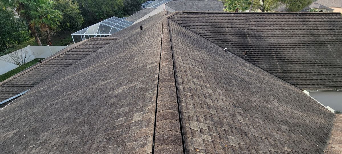 Shingle Roof Cleaning for Blue Stream Roof Cleaning & Pressure Washing in Tampa, FL