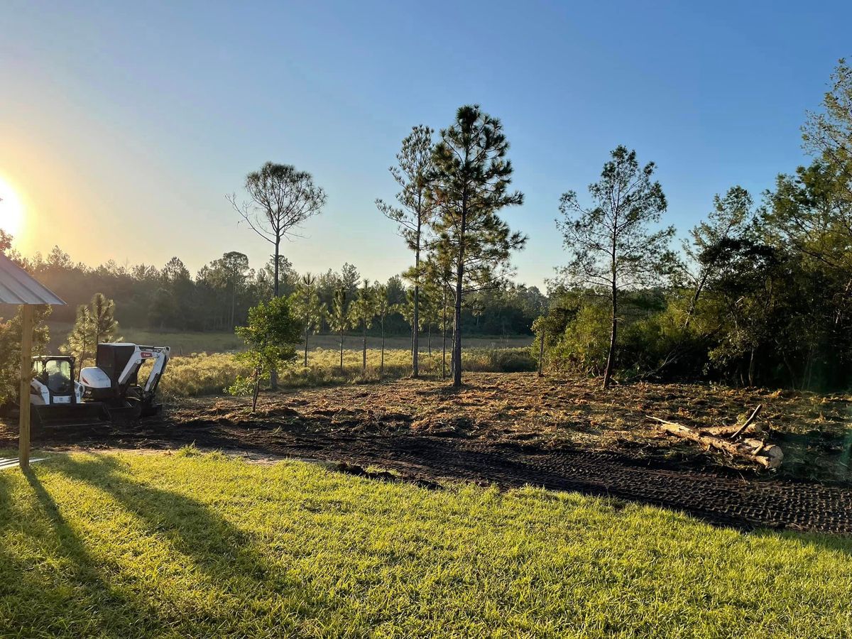 Forestry Mulching for Orange Cypress Land Services in DeLand, FL