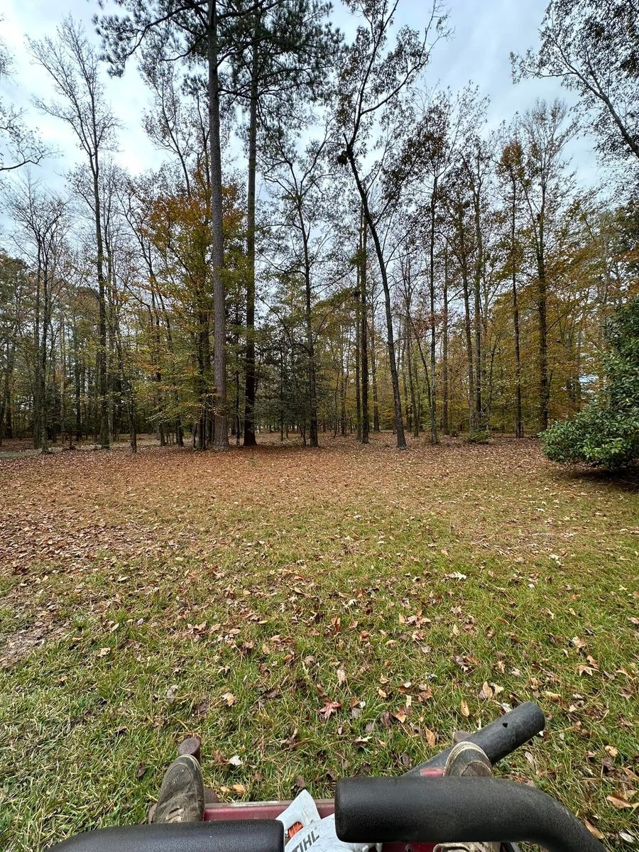Fall Clean Up for Cahoon's Coastal Lawn Care Services in Manteo, NC