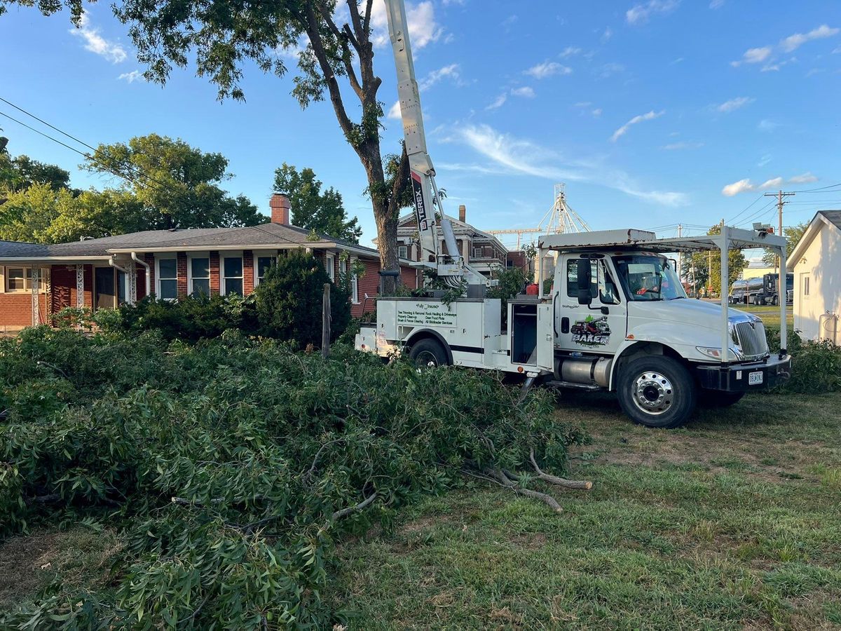 All Skidloader Services for Baker Professional Services LLC in Shelbina, MO
