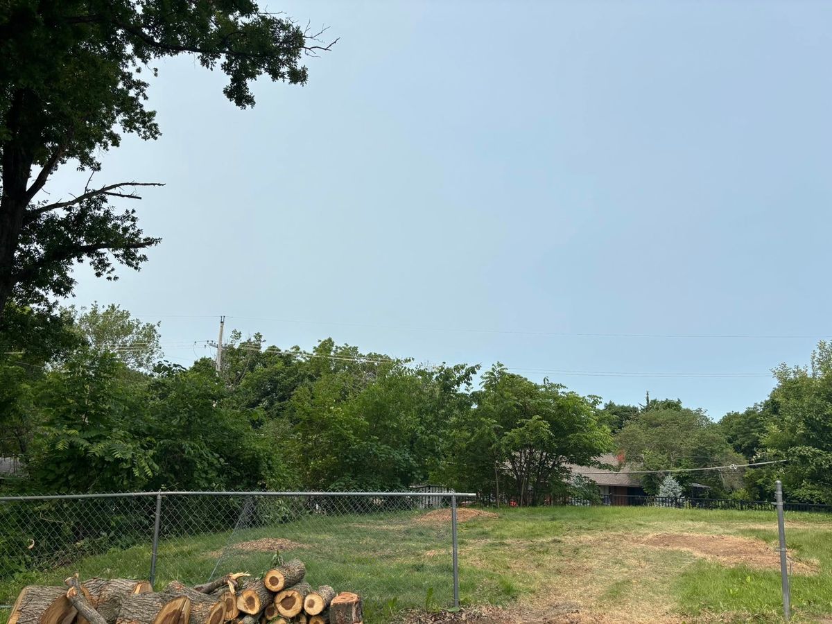 Tree Removal for Cross Family Tree Service in Kearney, MO