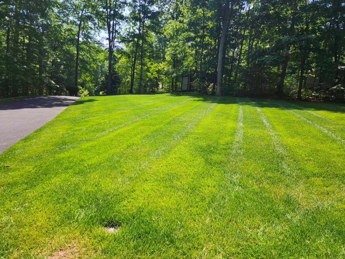Commercial & Residential Mowing for Lakeside Landscaping  in Gordonsville, VA