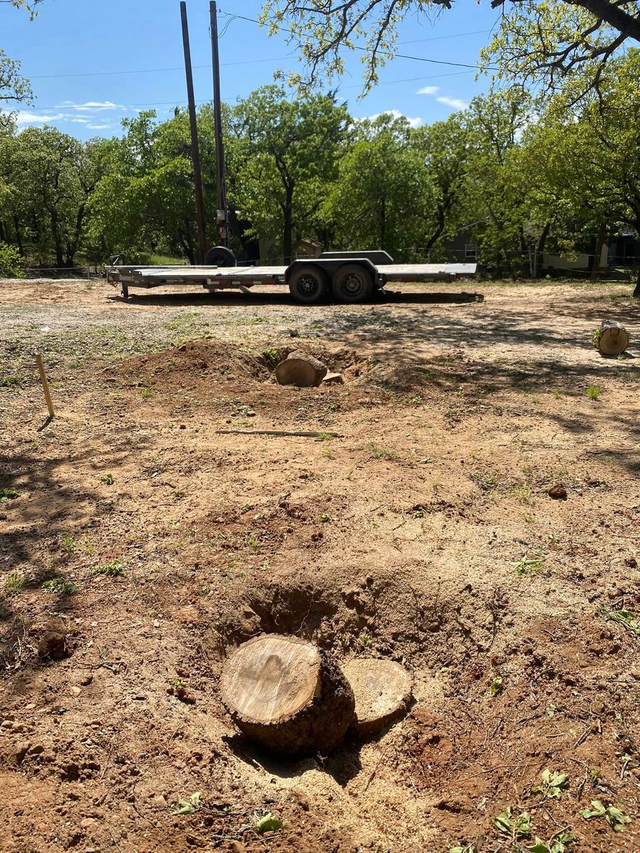 Tree Removal for Hector’s Tree Services in Nocona, TX